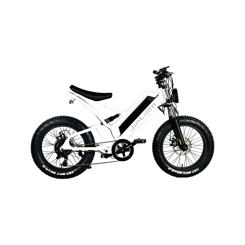 HyB-030 20 "Bike đi làm bằng máy bay điện tử