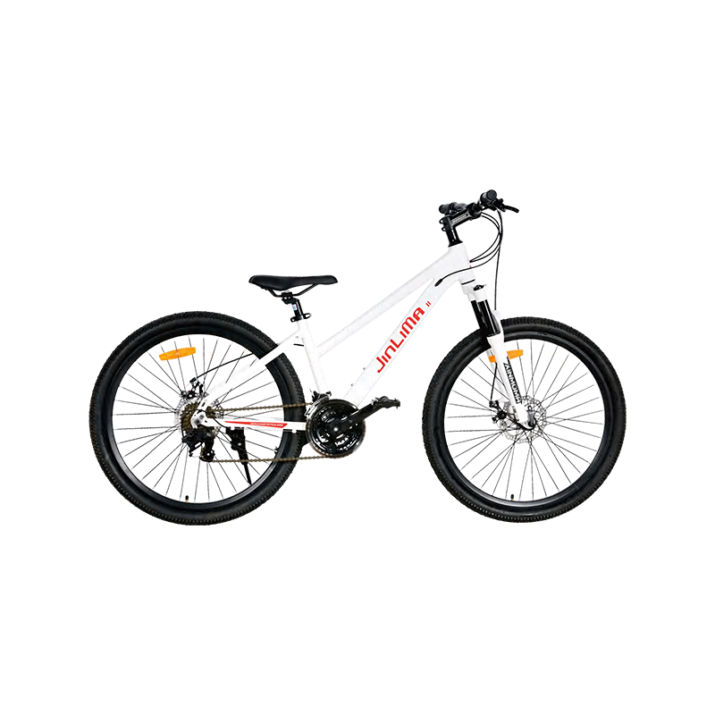 Xe đạp 26 inch: Một lựa chọn cân bằng cho việc lái xe đa năng