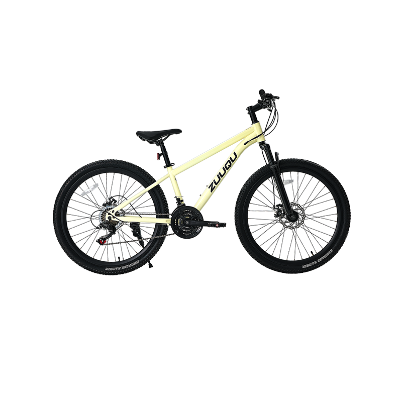 Phanh đĩa 21 tốc độ 26 "MTB